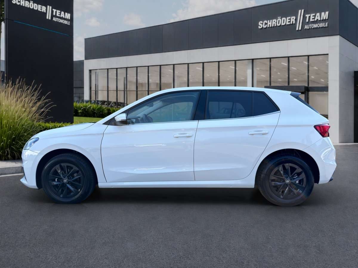 Fahrzeugbild eines Skoda Fabia