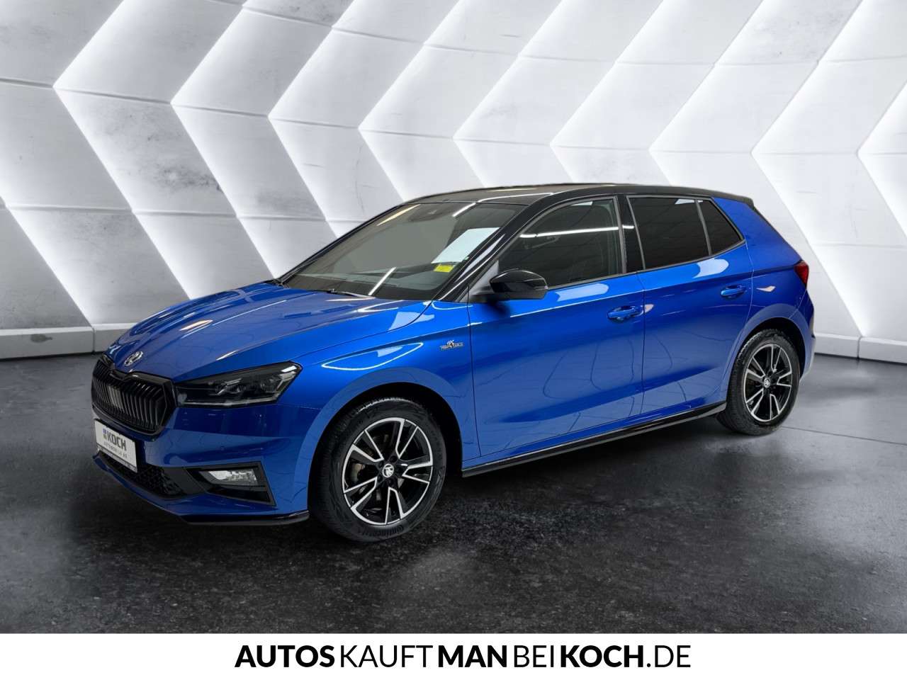 Fahrzeugbild eines Skoda Fabia