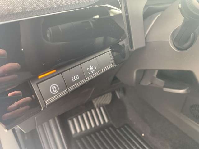 Fahrzeugbild eines Renault Clio