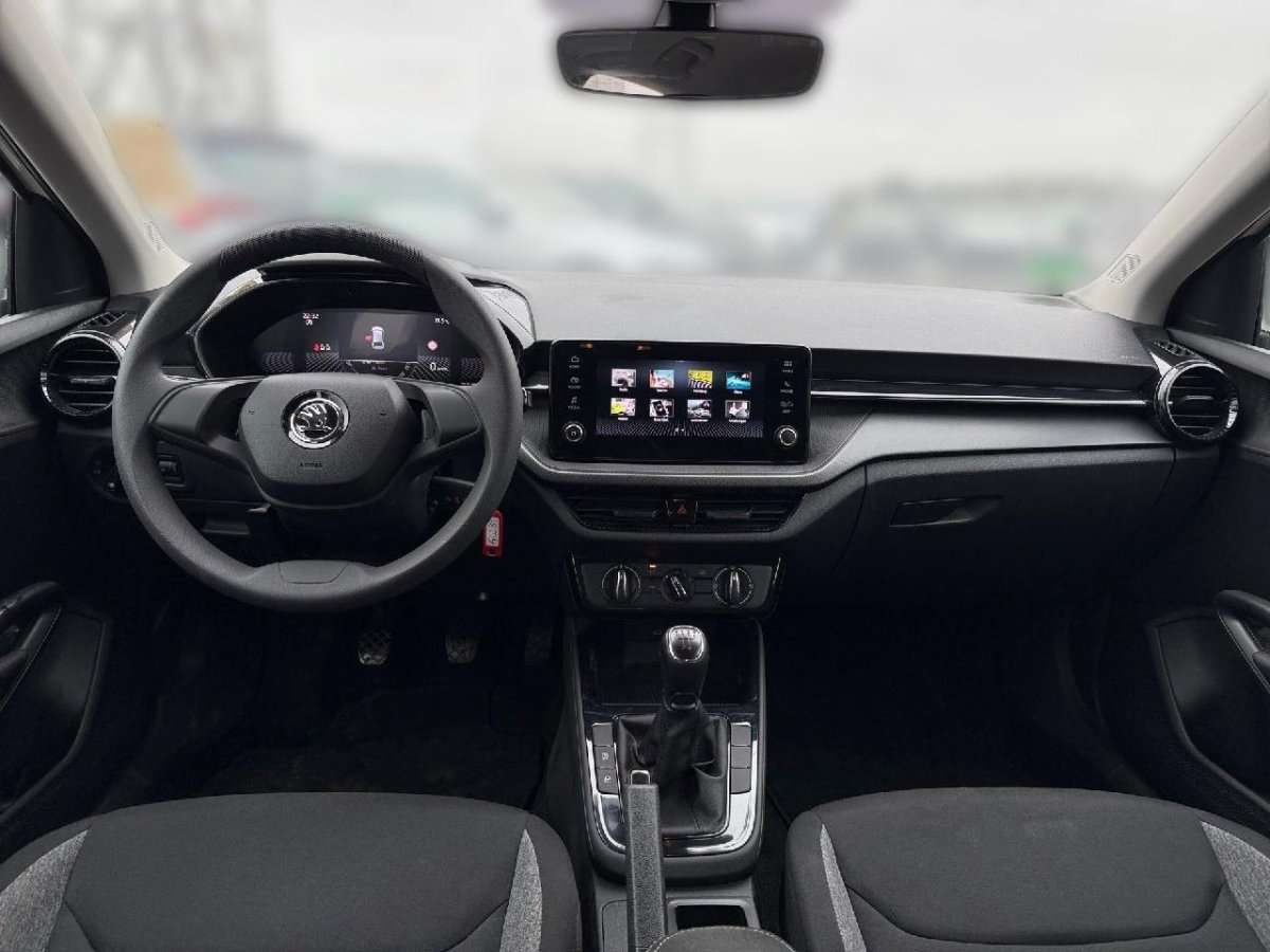 Fahrzeugbild eines Skoda Fabia