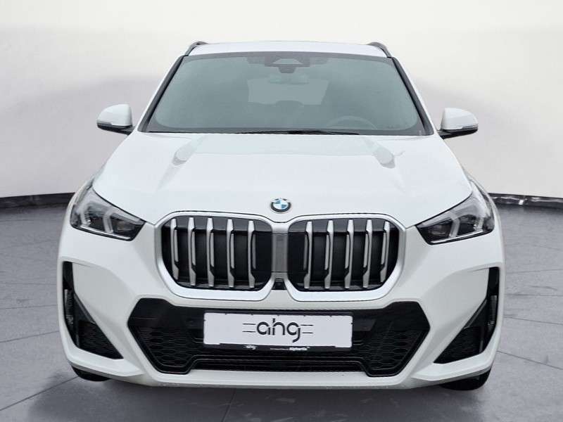 Fahrzeugbild eines BMW X1