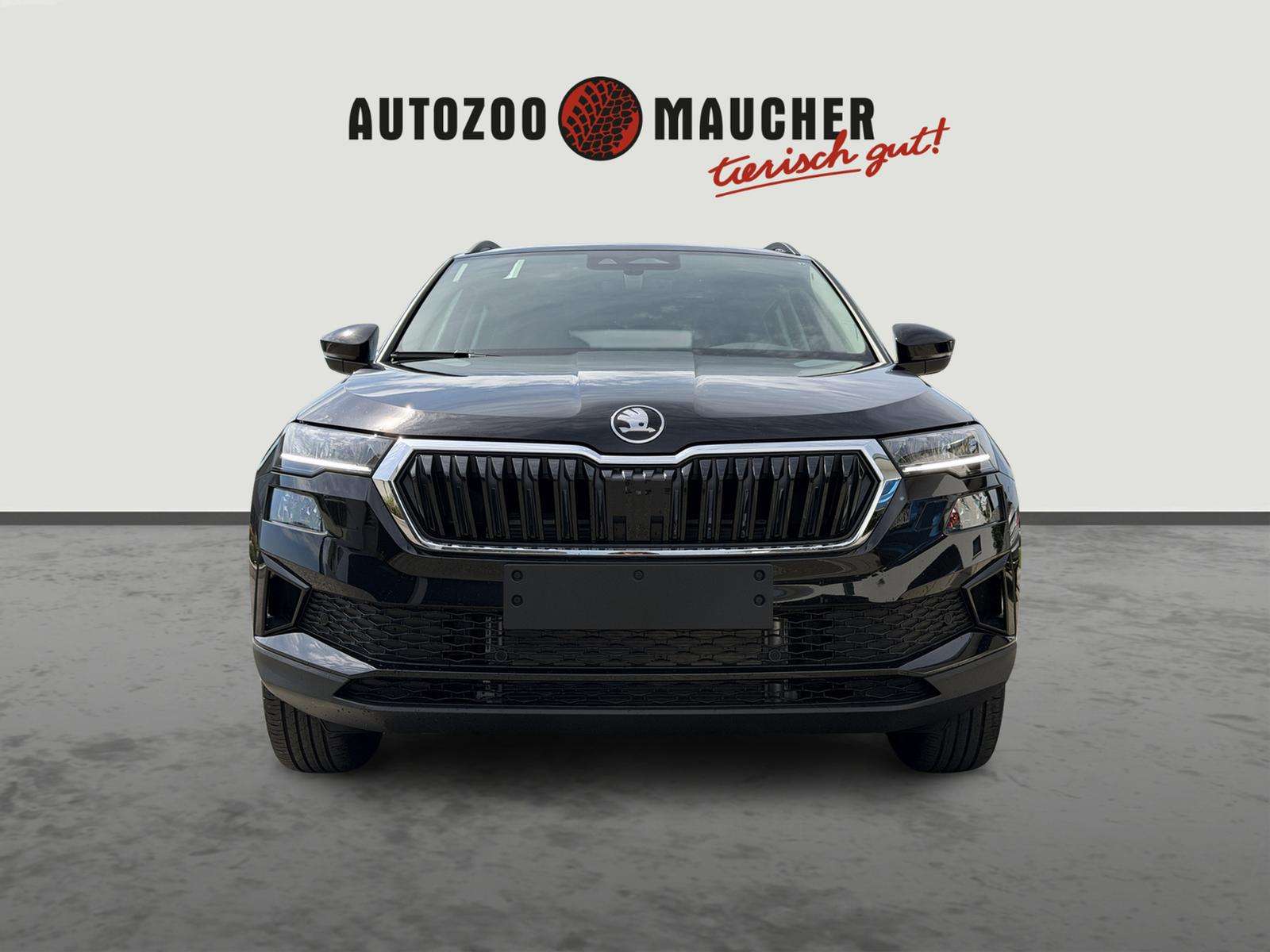 Fahrzeugbild eines Skoda Karoq