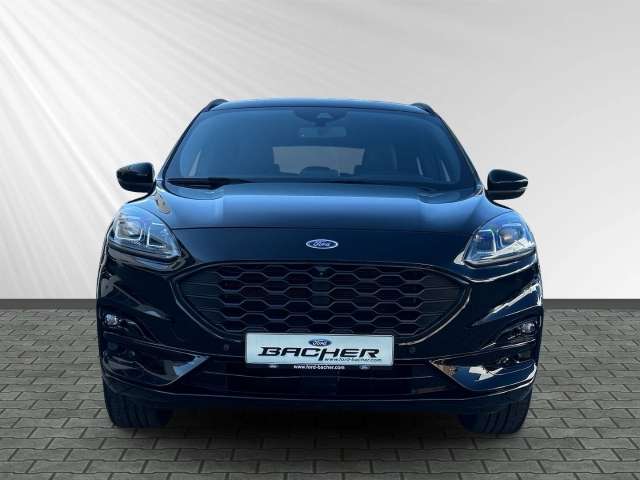 Fahrzeugbild eines Ford Kuga