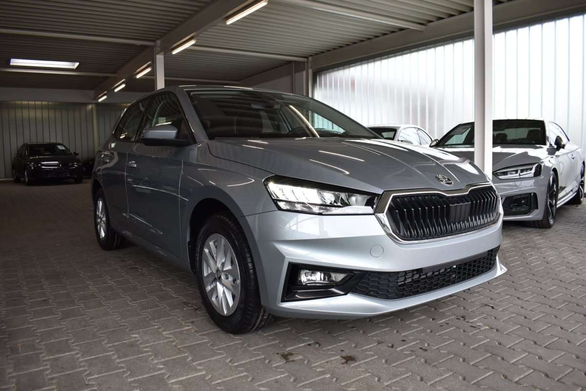 Fahrzeugbild eines Skoda Fabia