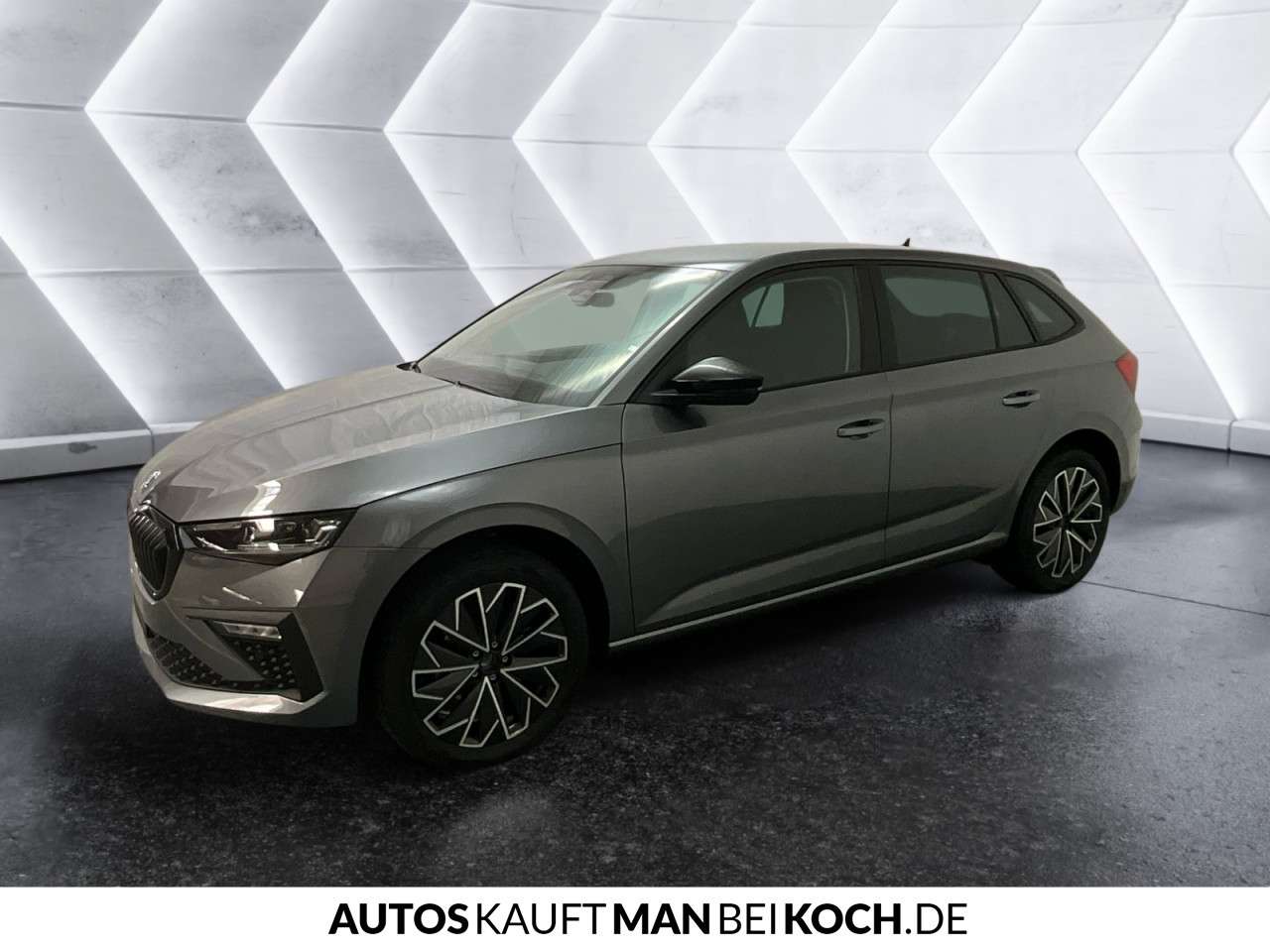 Fahrzeugbild eines Skoda Scala