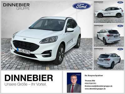 Bild Ford Kuga
