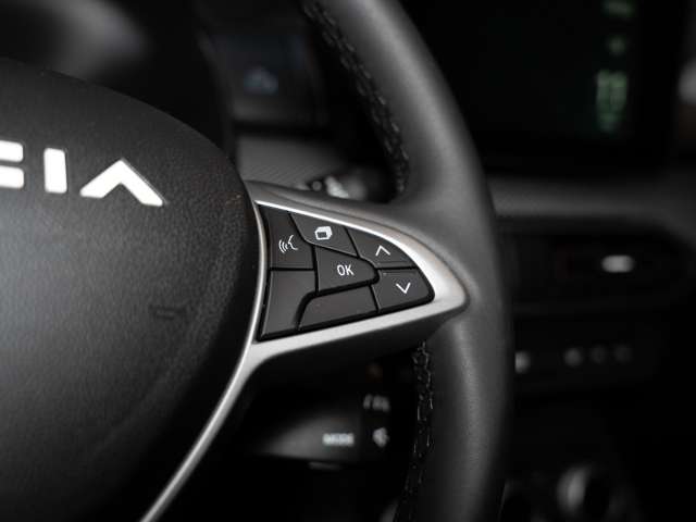 Fahrzeugbild eines Dacia Sandero