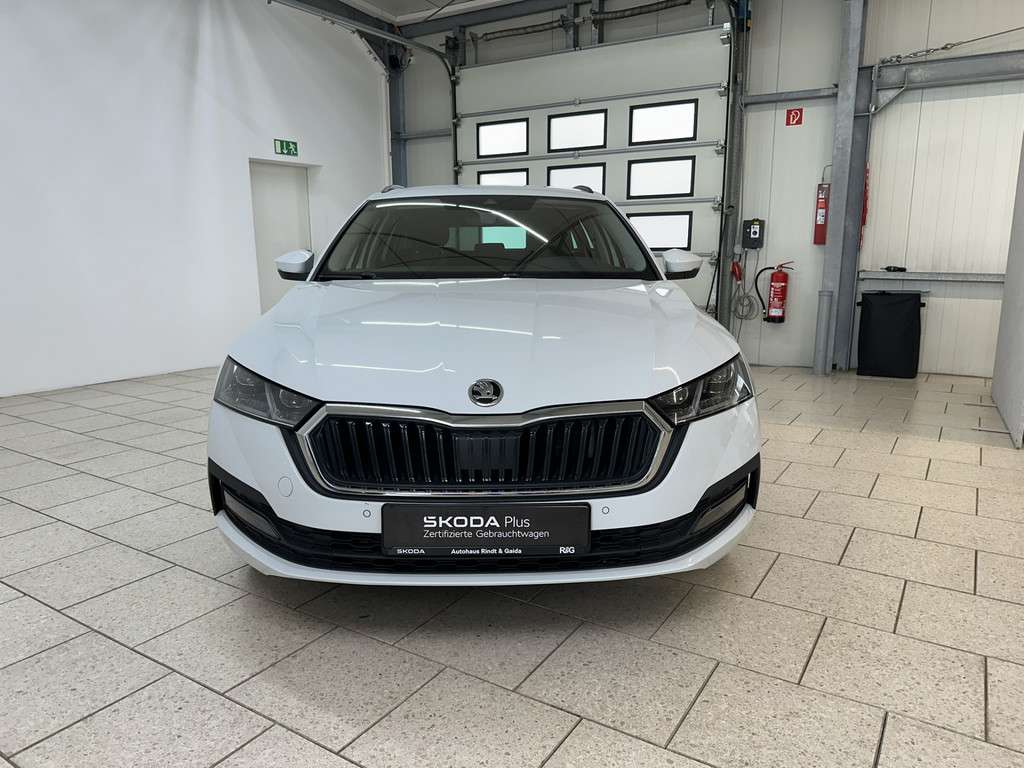 Fahrzeugbild eines Skoda Octavia
