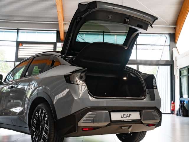 Fahrzeugbild eines Nissan Leaf