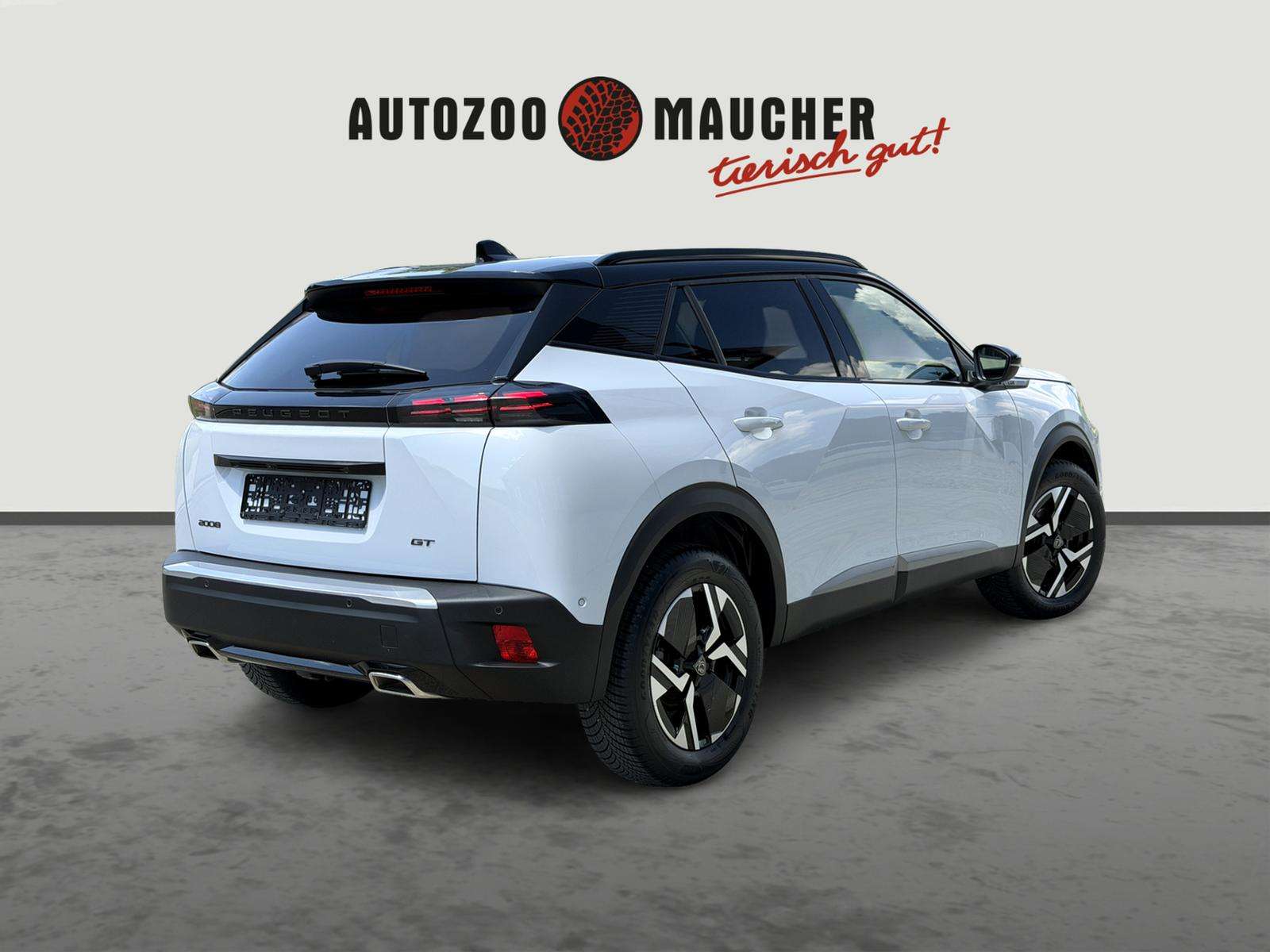 Fahrzeugbild eines Peugeot 2008