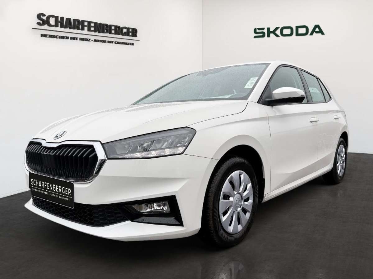 Fahrzeugbild eines Skoda Fabia