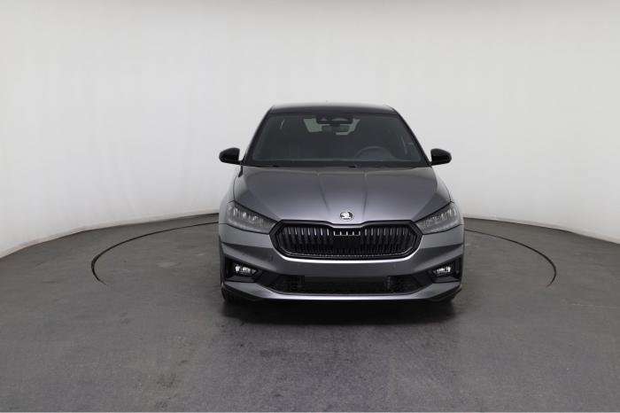 Fahrzeugbild eines Skoda Fabia
