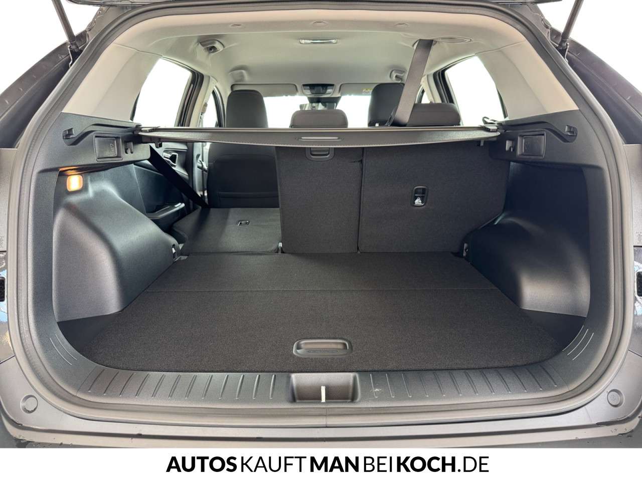 Fahrzeugbild eines Kia Sportage