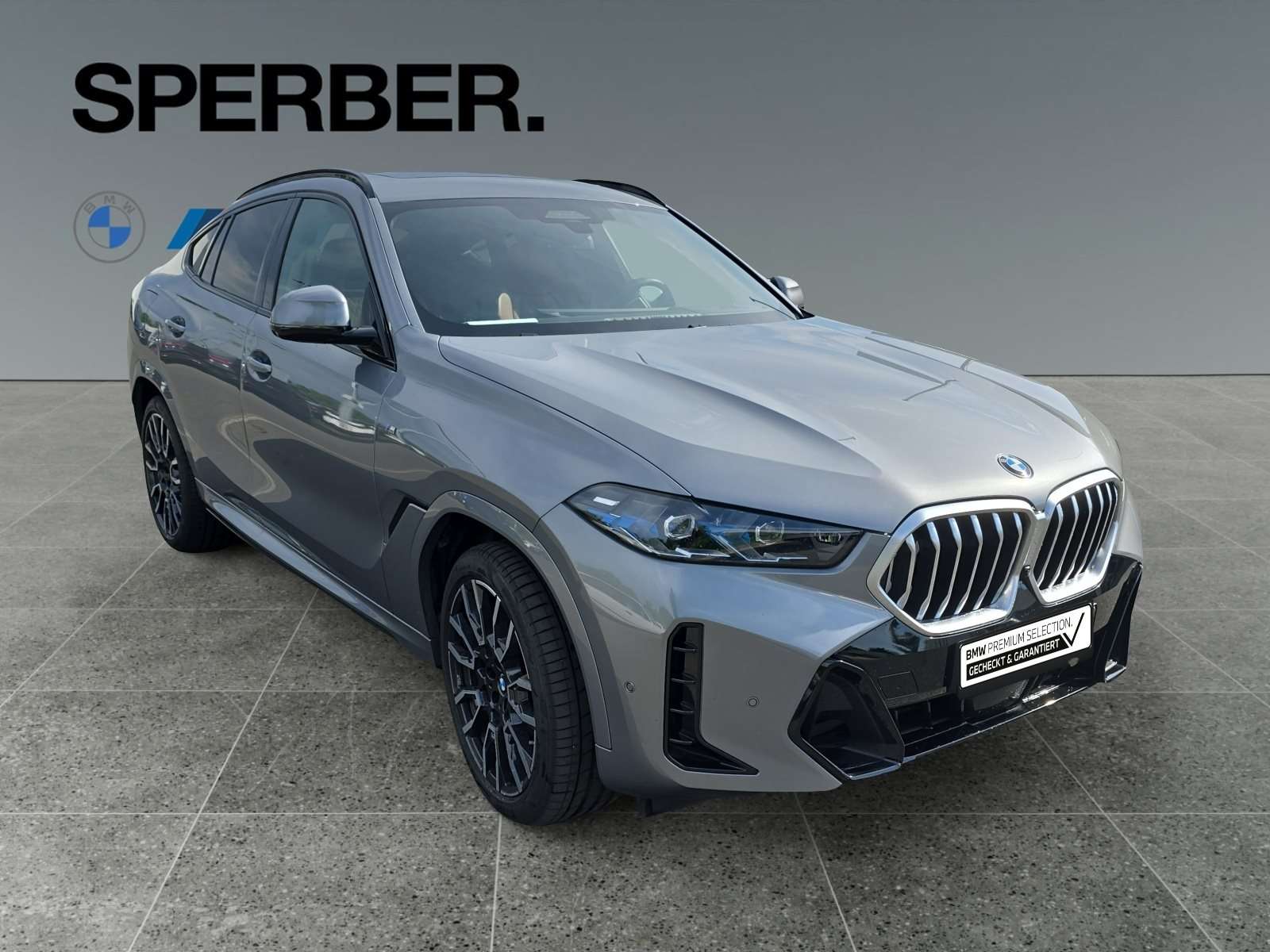 Fahrzeugbild eines BMW X6