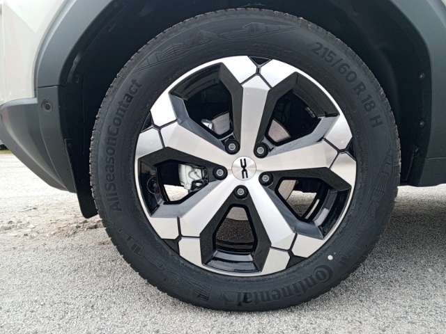 Fahrzeugbild eines Dacia Duster