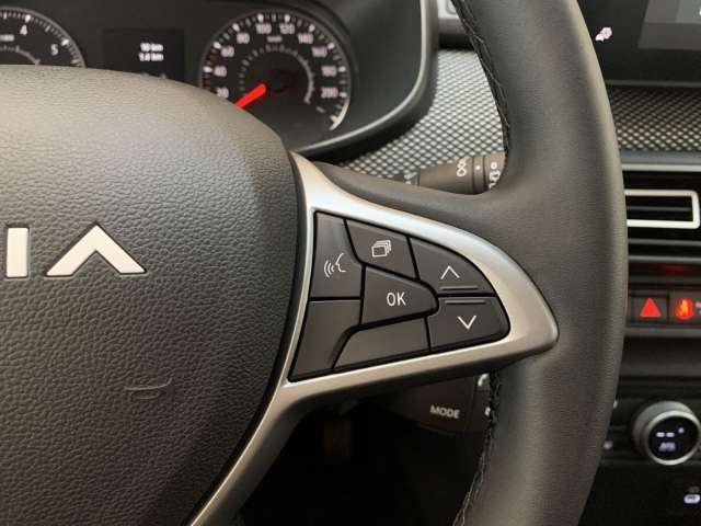 Fahrzeugbild eines Dacia Sandero