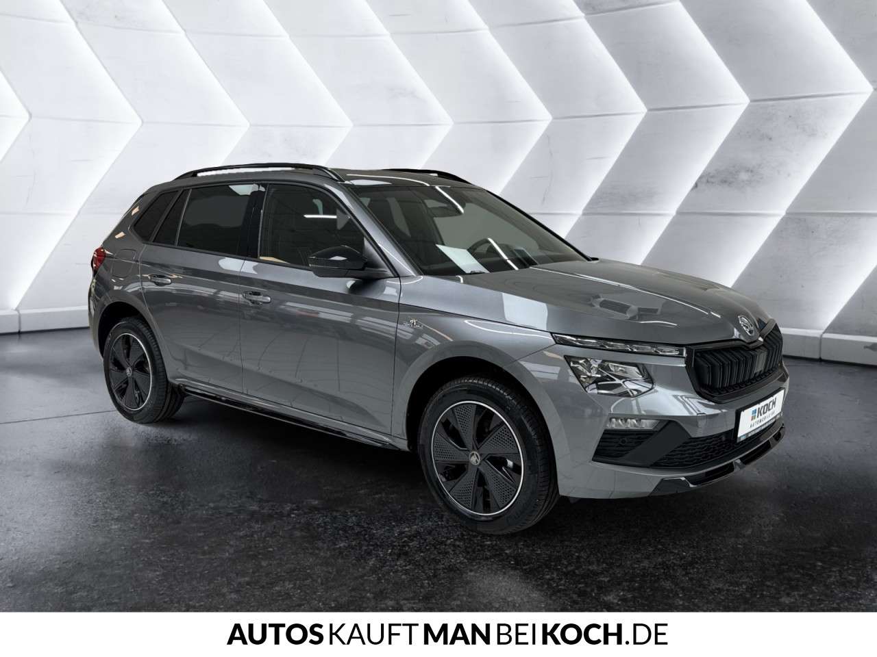 Fahrzeugbild eines Skoda Kamiq