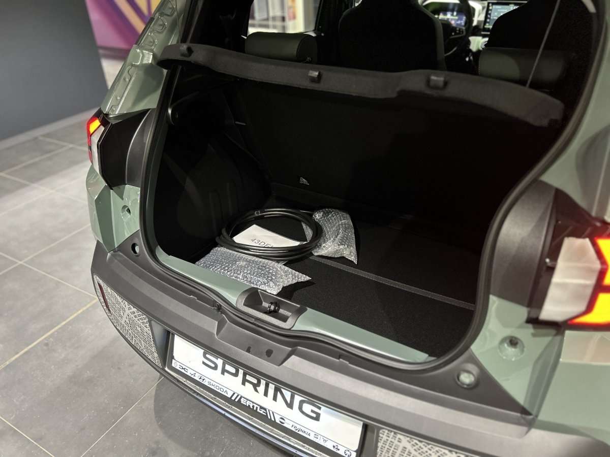 Fahrzeugbild eines Dacia Spring