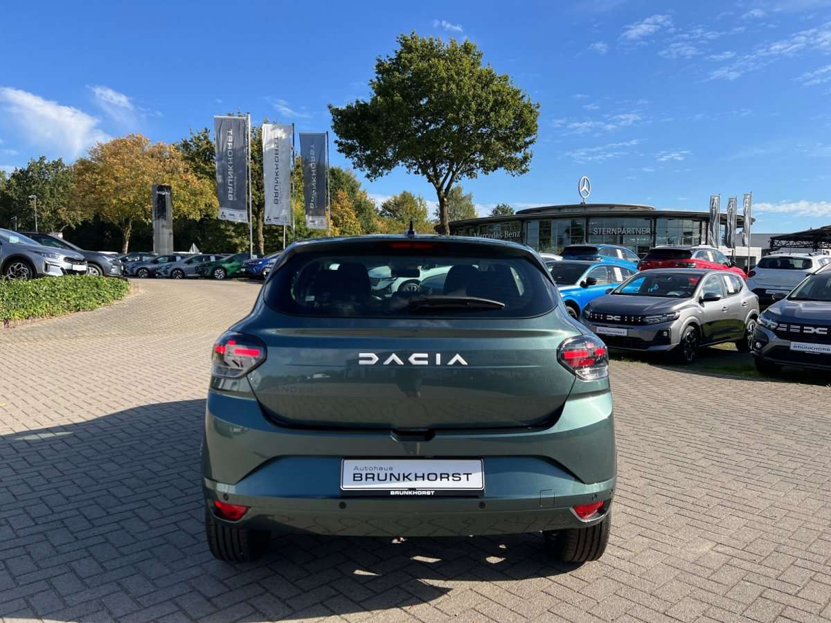 Fahrzeugbild eines Dacia Sandero