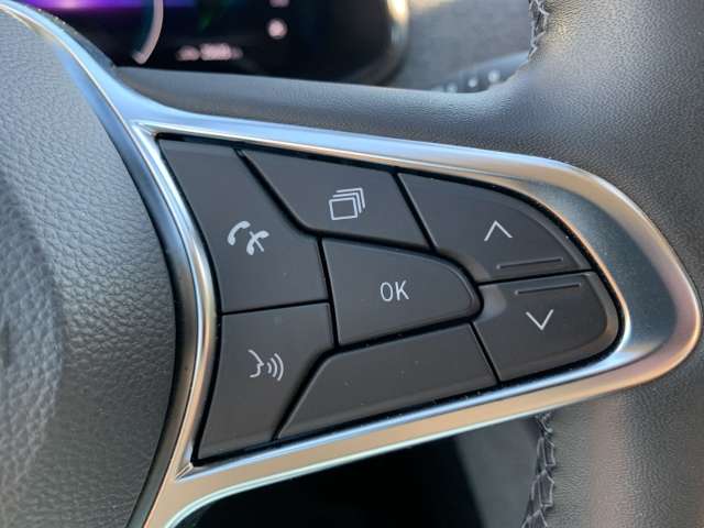 Fahrzeugbild eines Renault ZOE