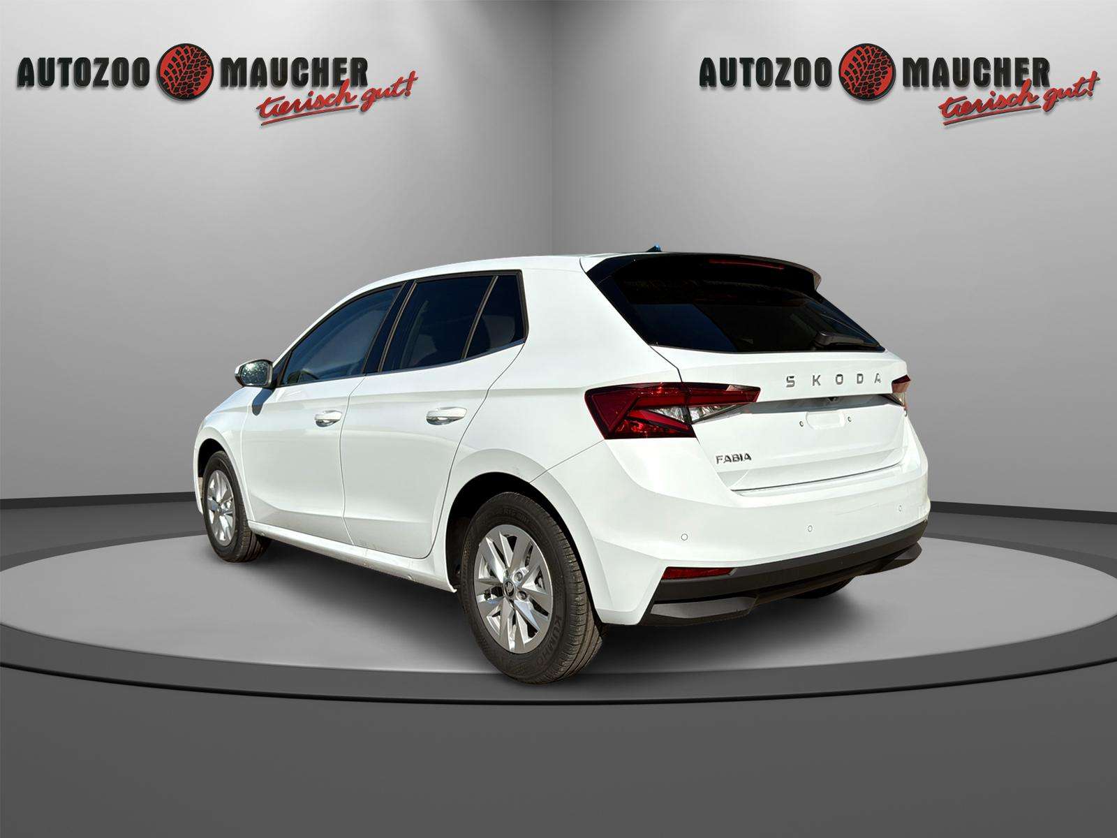 Fahrzeugbild eines Skoda Fabia