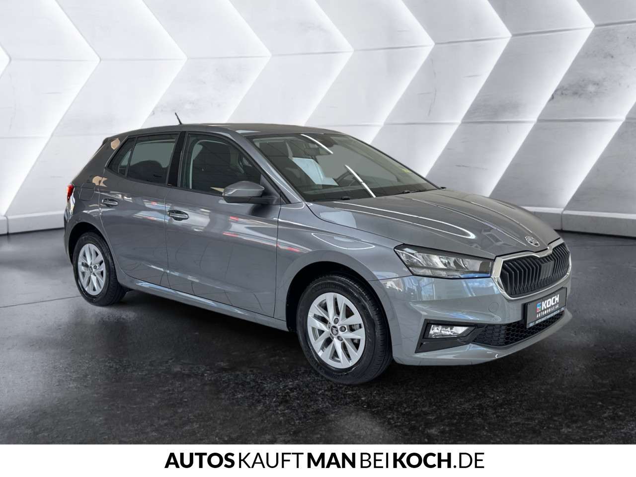 Fahrzeugbild eines Skoda Fabia