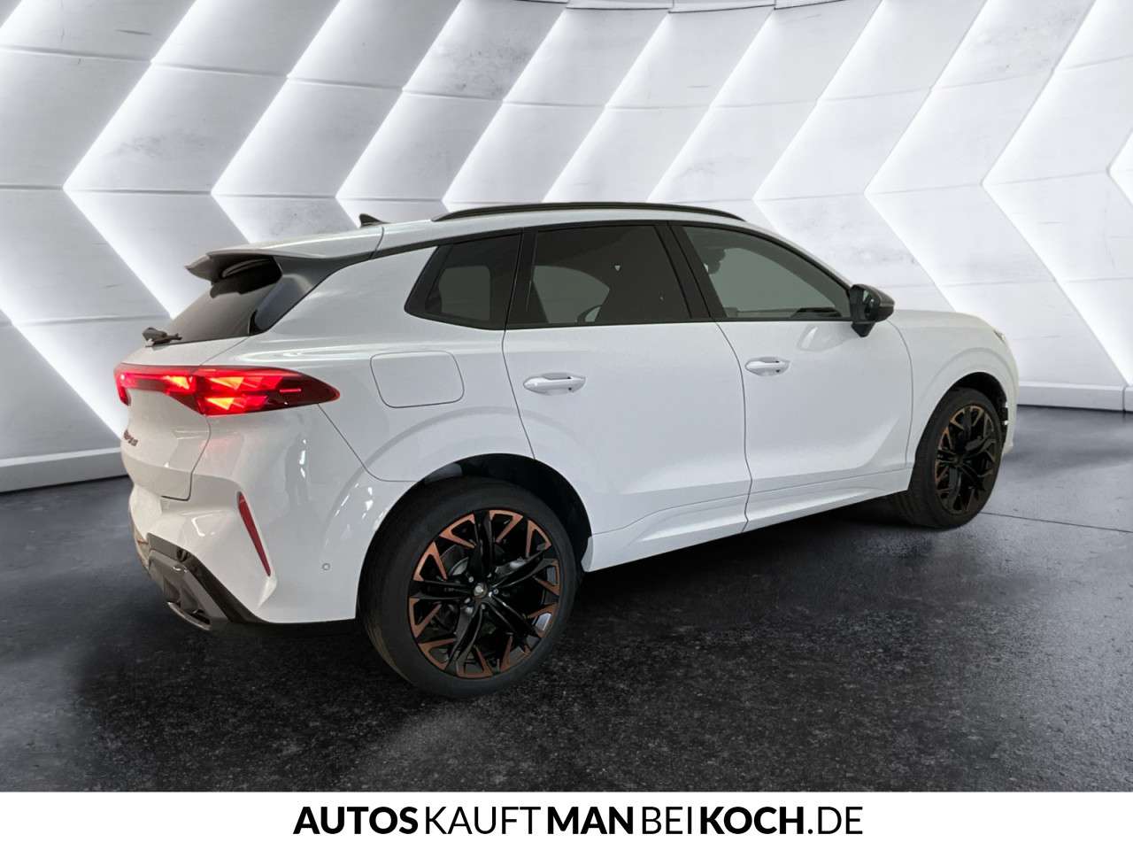 Fahrzeugbild eines CUPRA Terramar