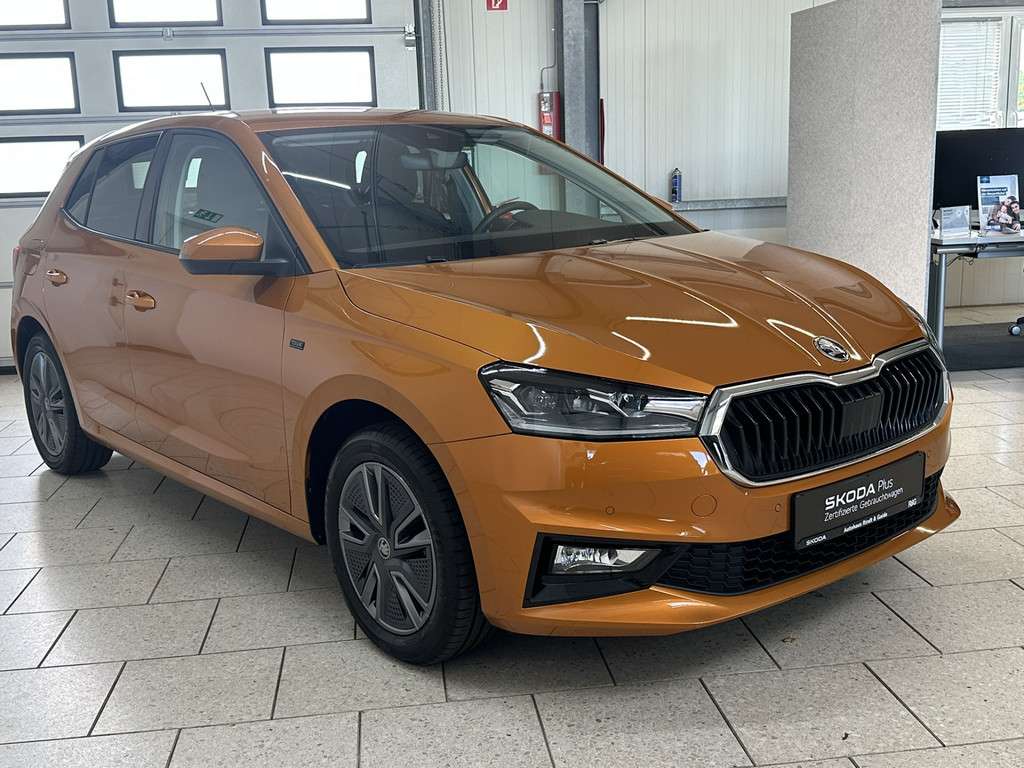 Fahrzeugbild eines Skoda Fabia