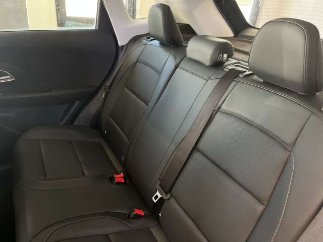 Fahrzeugbild eines MG ZS