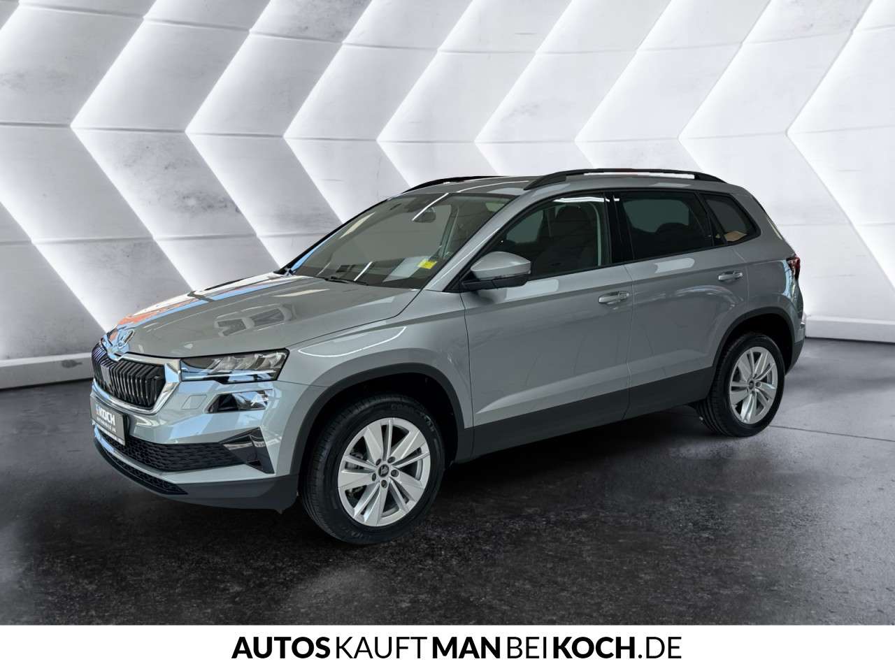 Fahrzeugbild eines Skoda Karoq