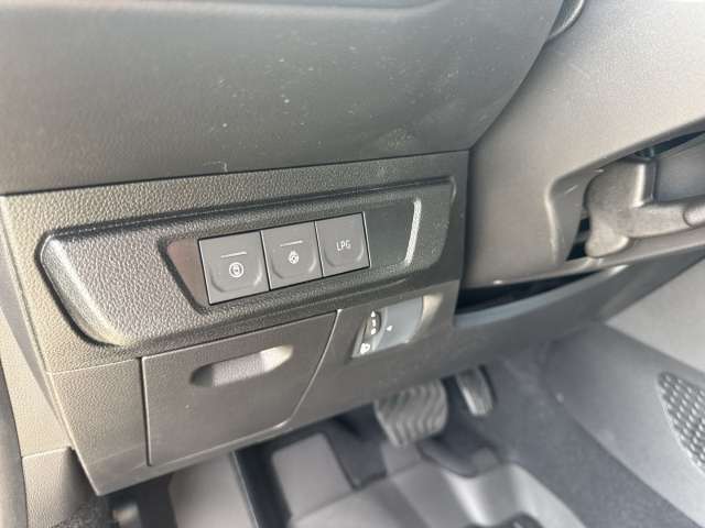 Fahrzeugbild eines Dacia Sandero