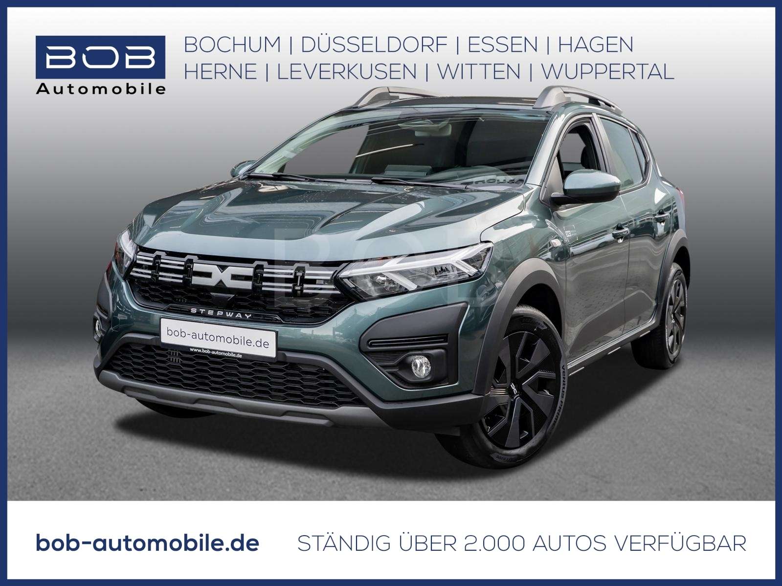 Fahrzeugbild eines Dacia Sandero