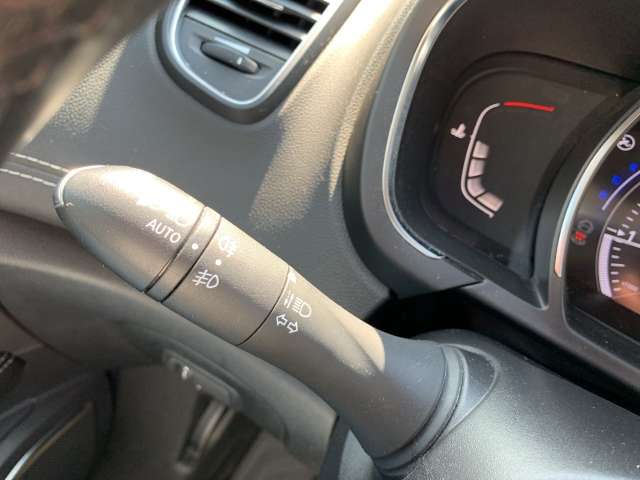 Fahrzeugbild eines Renault Grand Scénic