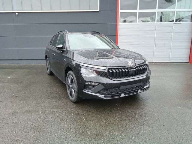 Fahrzeugbild eines Skoda Kamiq