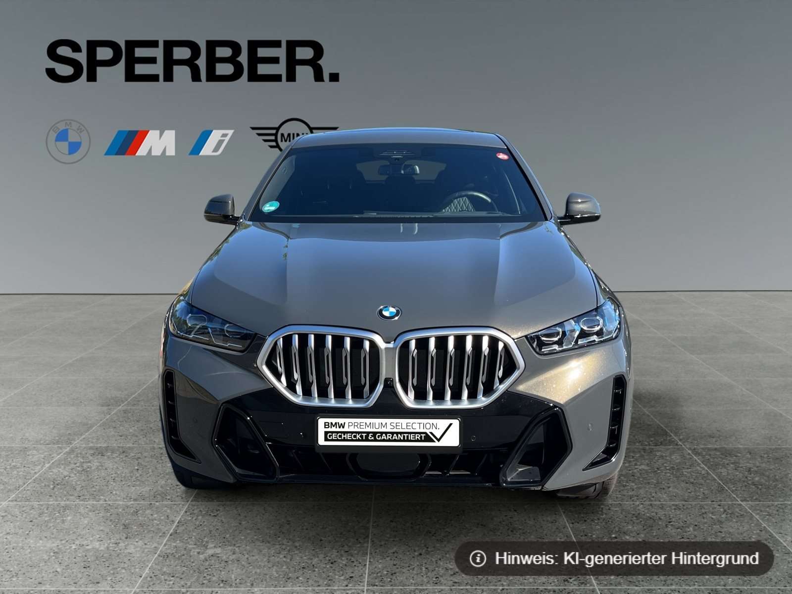 Fahrzeugbild eines BMW X6