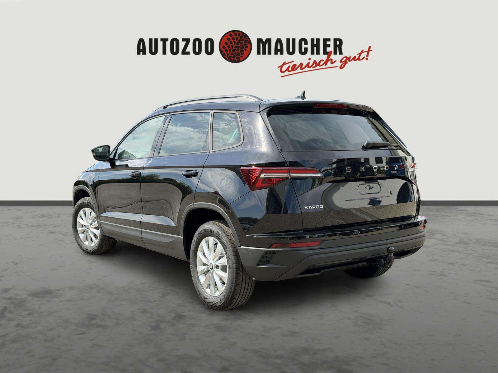 Fahrzeugbild eines Skoda Karoq