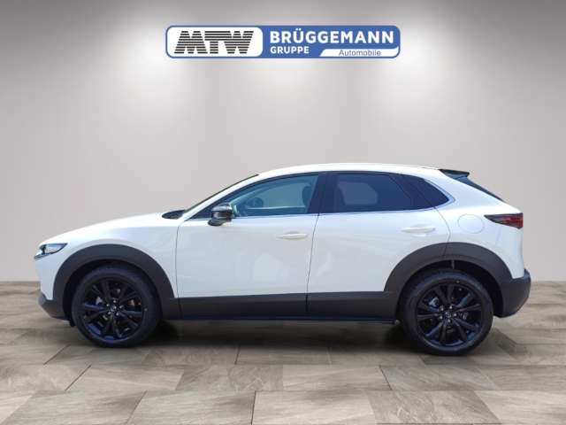 Fahrzeugbild eines Mazda CX-30