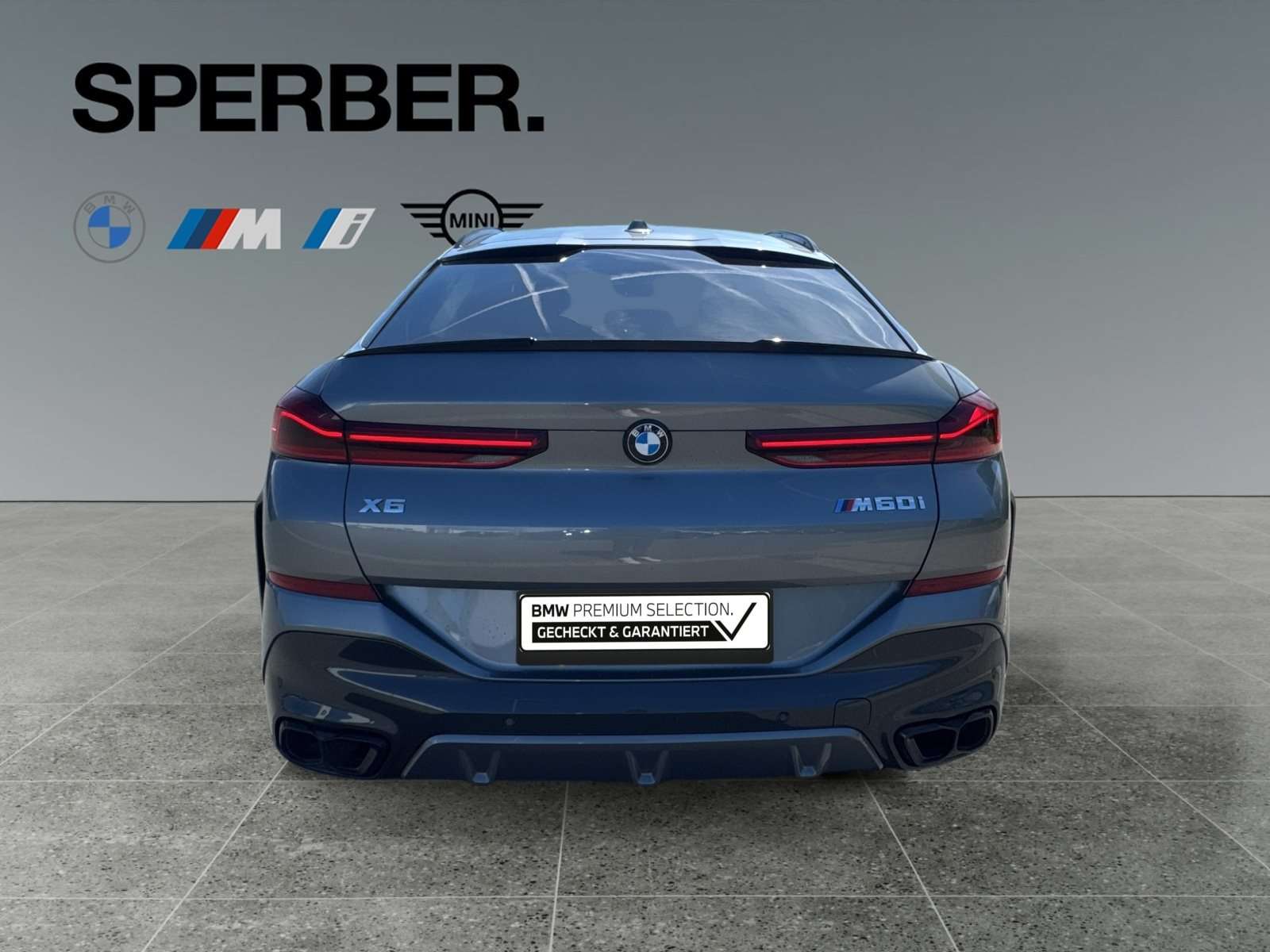 Fahrzeugbild eines BMW X6