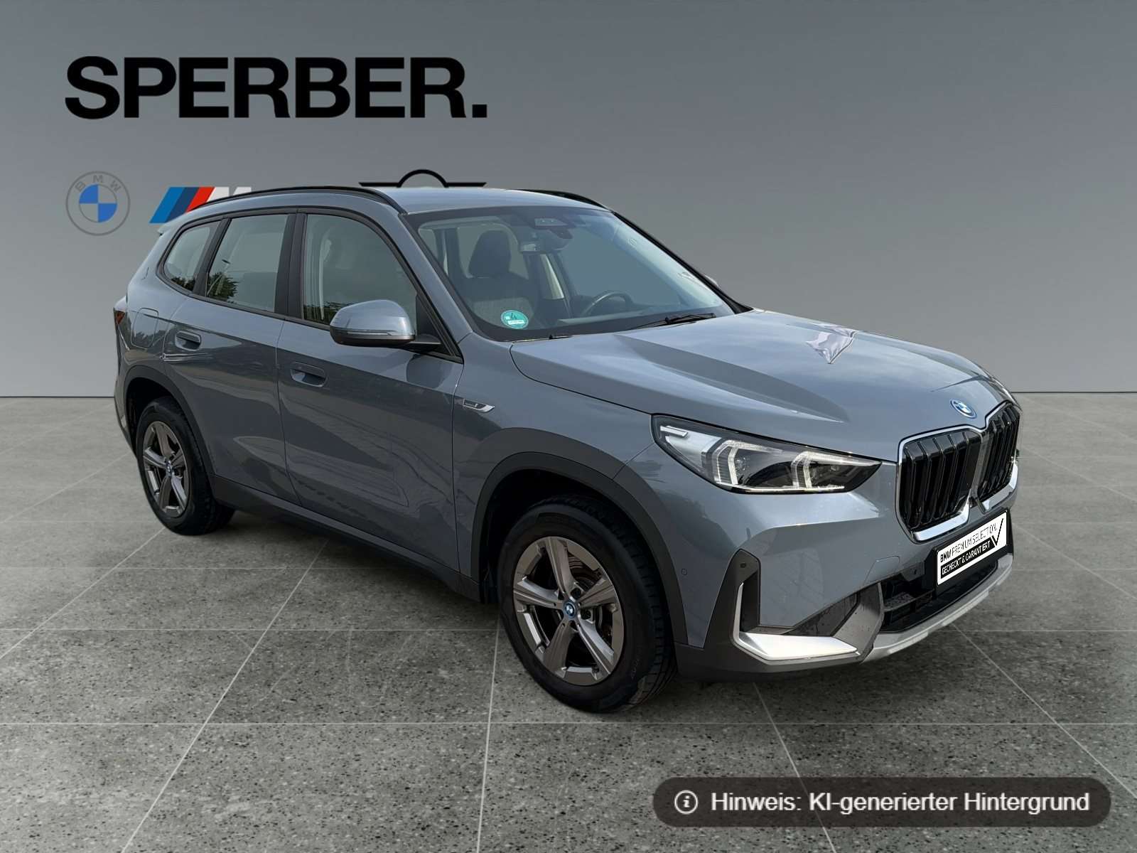 Fahrzeugbild eines BMW X1