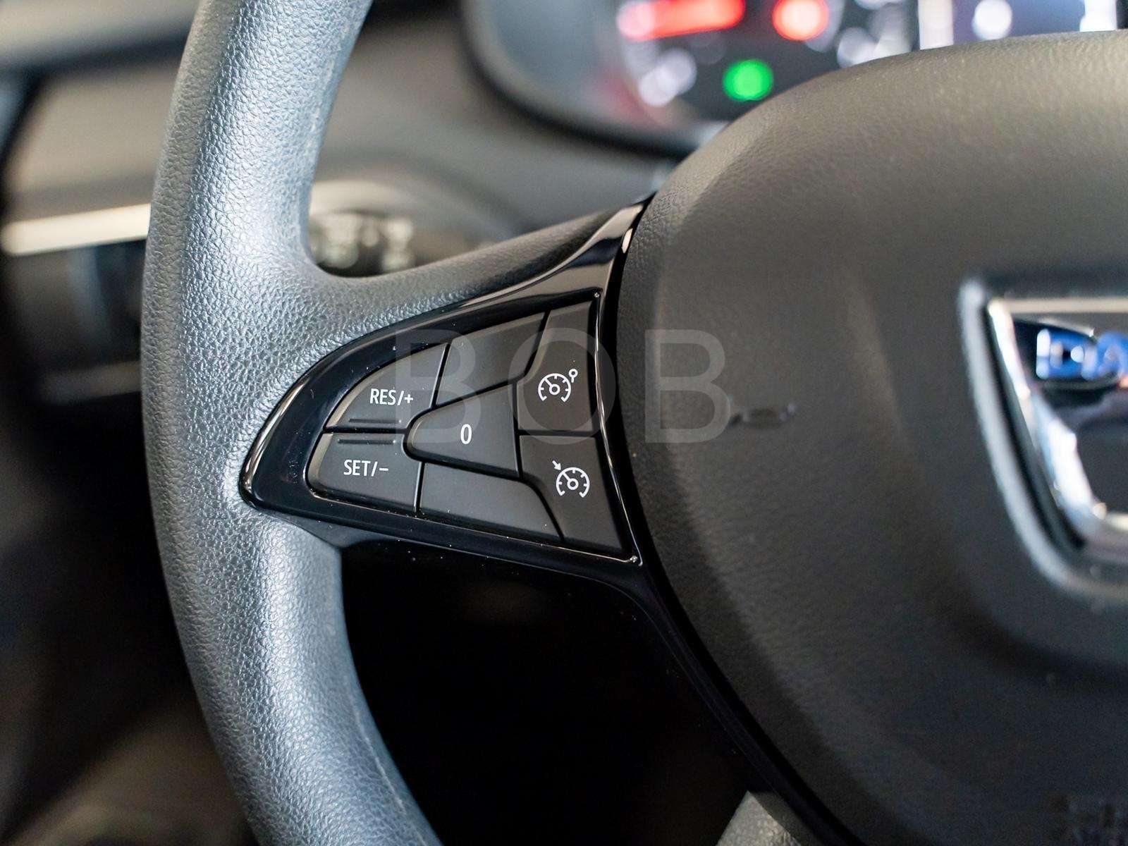 Fahrzeugbild eines Dacia Sandero