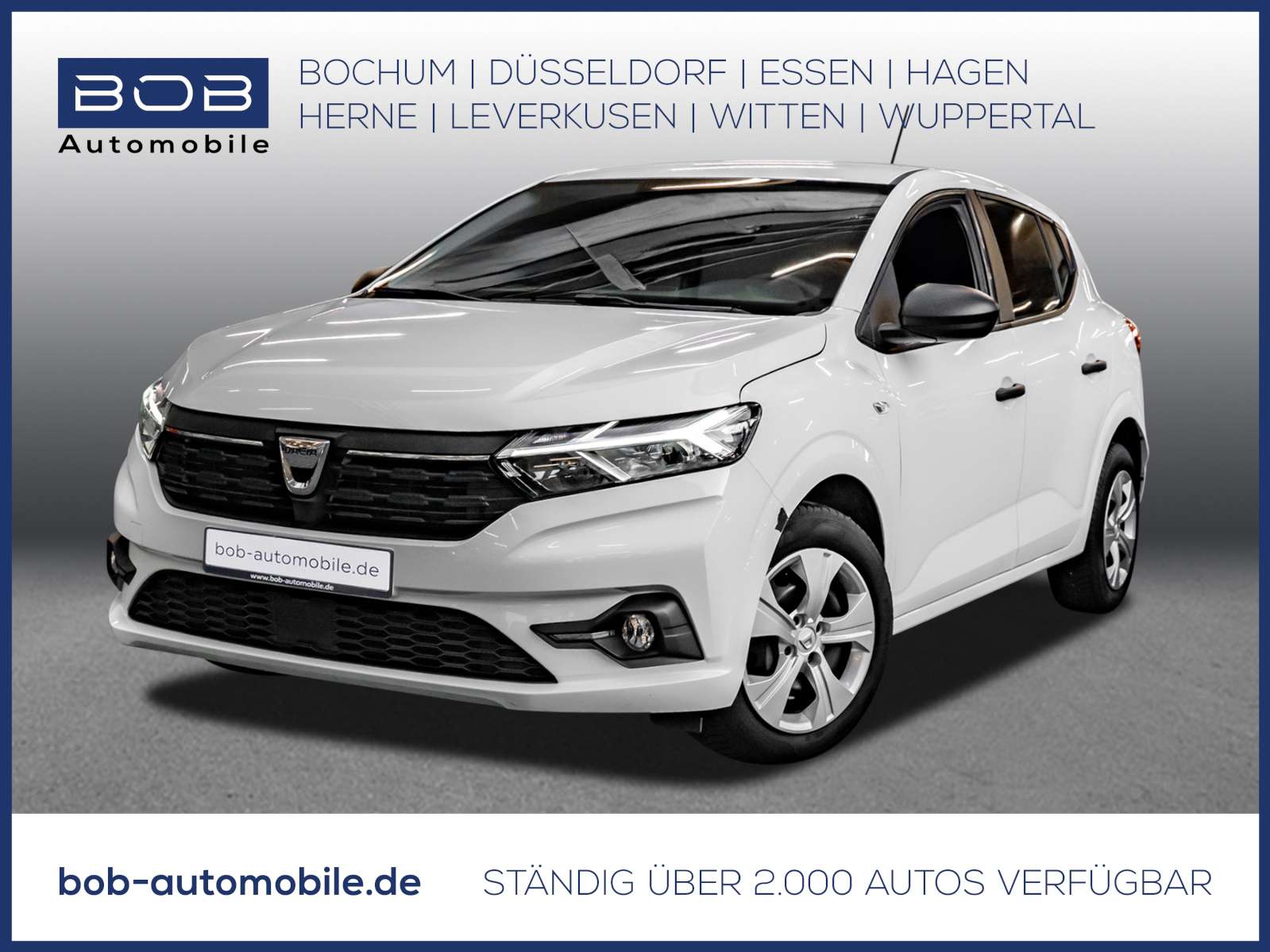 Fahrzeugbild eines Dacia Sandero