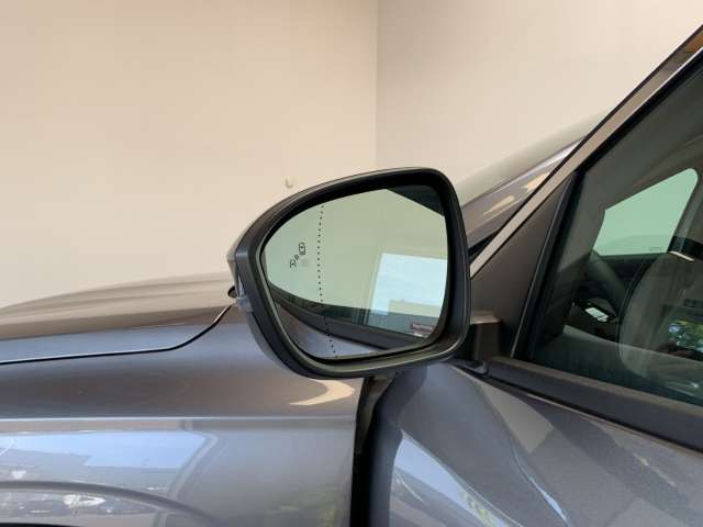 Fahrzeugbild eines Renault Austral