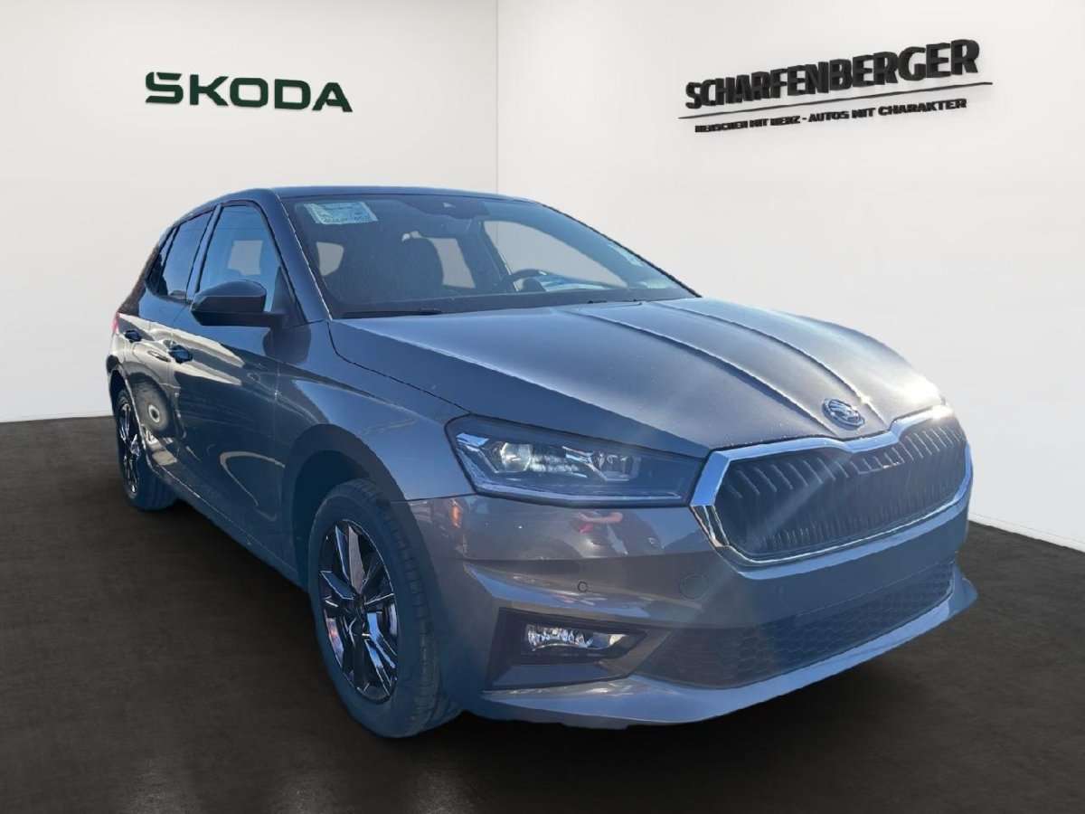 Fahrzeugbild eines Skoda Fabia
