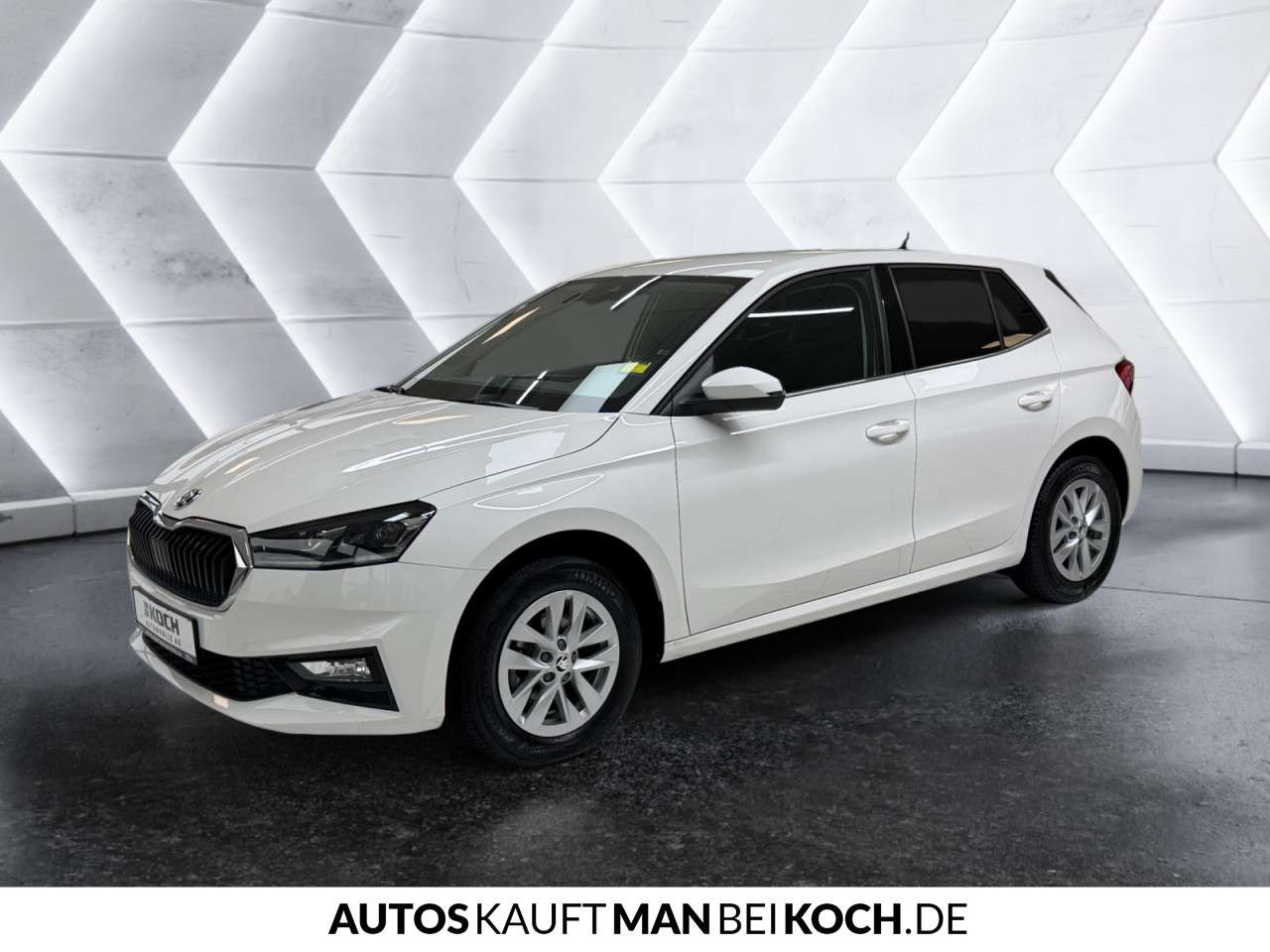 Fahrzeugbild eines Skoda Fabia