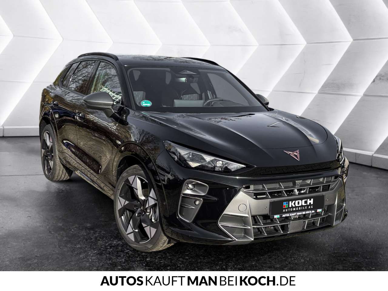 Fahrzeugbild eines CUPRA Terramar