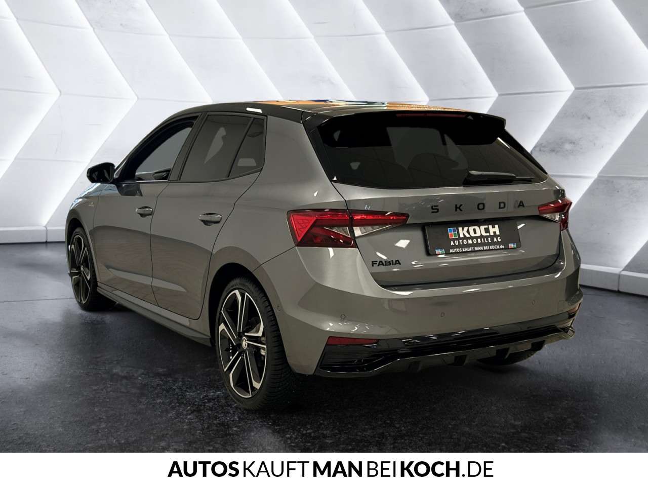 Fahrzeugbild eines Skoda Fabia