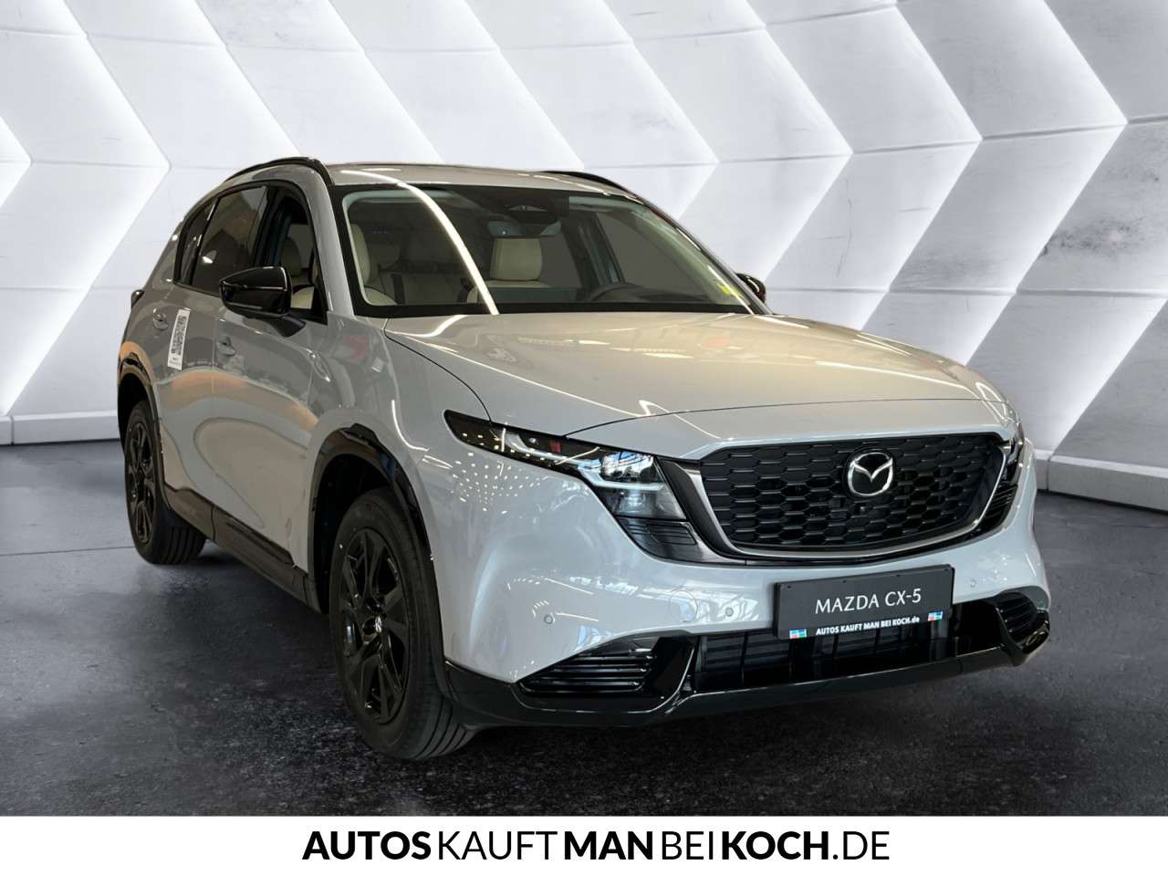 Fahrzeugbild eines Mazda Mazda2