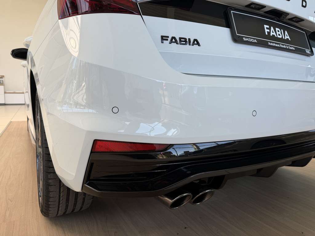 Fahrzeugbild eines Skoda Fabia