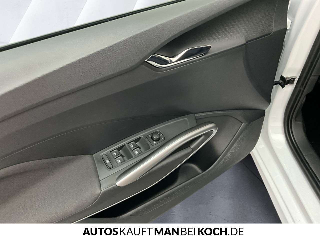 Fahrzeugbild eines Skoda Fabia