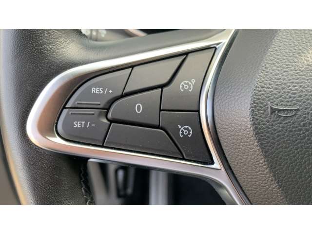 Fahrzeugbild eines Renault ZOE